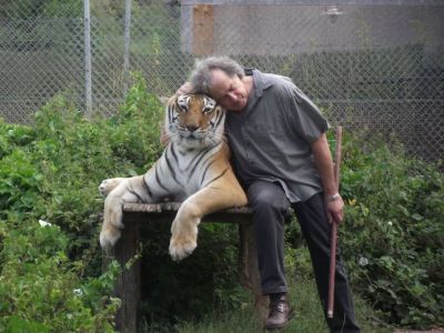 Visite privée du centre de protection  des tigres et lions situé à 3km du Musée  ( option sur RDV ) 